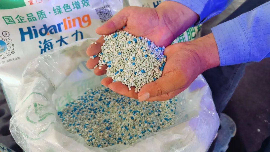 楚星公司“海大力”系列復合肥再添新品(圖2) 楚星公司“海大力”系列復合肥再添新品(圖2)